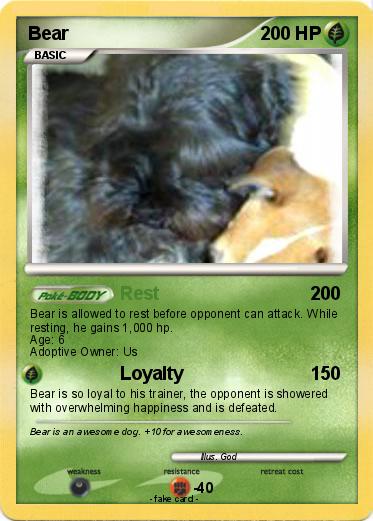 Pokemon Bear