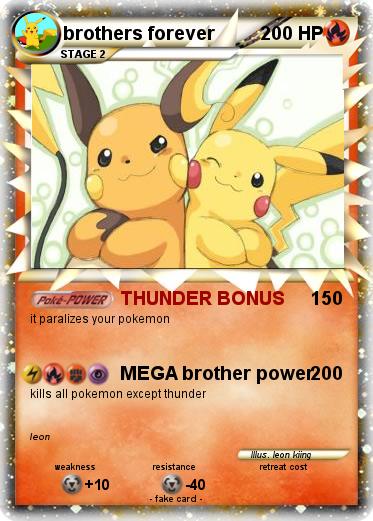 Pokemon brothers forever