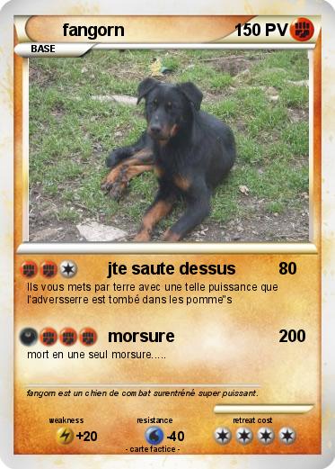 Pokemon fangorn
