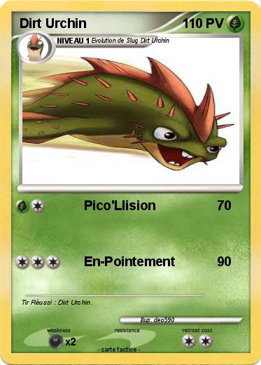 Pokemon Dirt Urchin