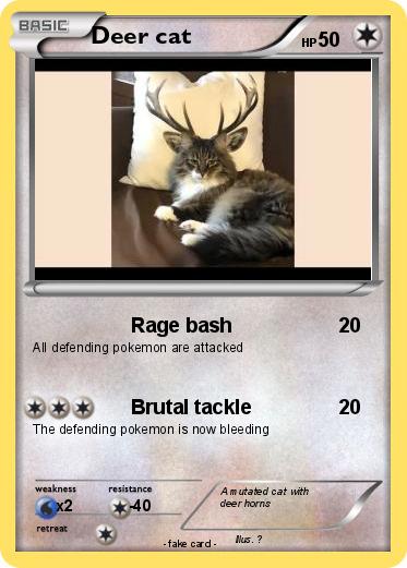 Pokemon Deer cat