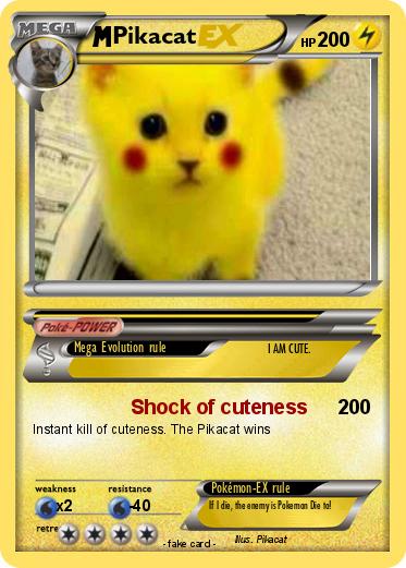 Pokemon Pikacat