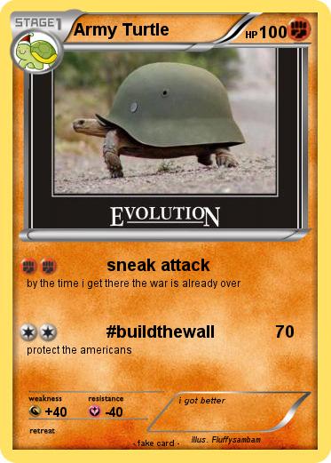 Pokemon Army Turtle