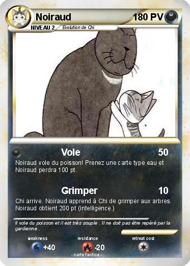 Pokemon Noiraud