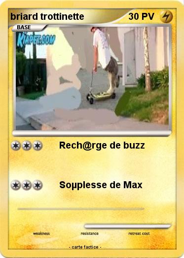 Pokemon briard trottinette
