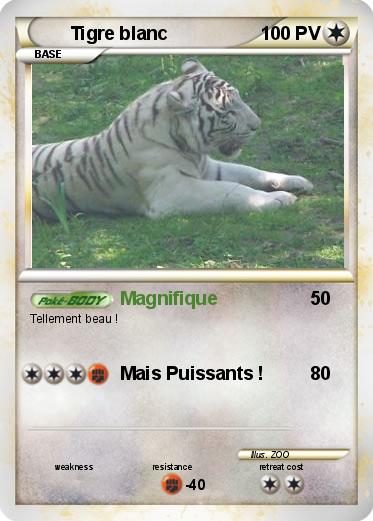 Pokemon Tigre blanc