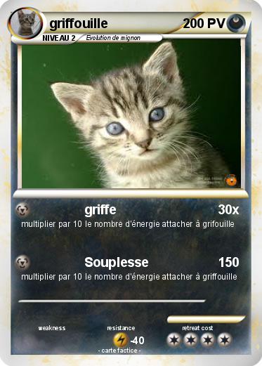 Pokemon griffouille
