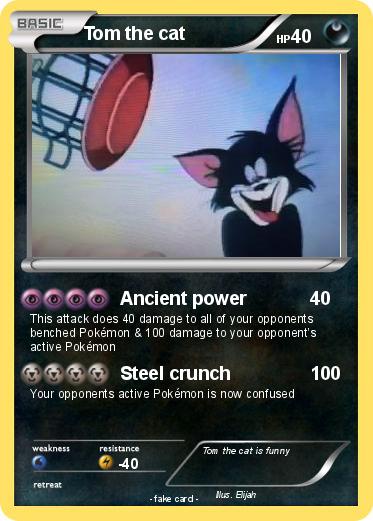 Pokemon Tom the cat