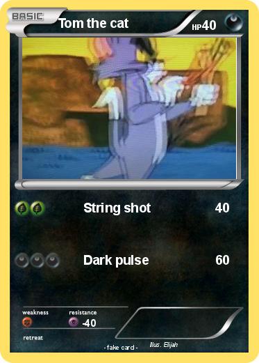 Pokemon Tom the cat