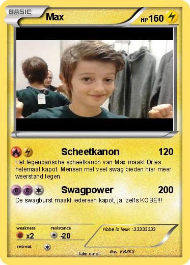 Pokemon Max