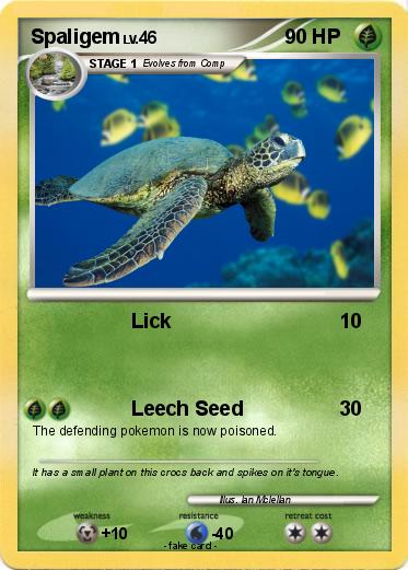 Pokemon Spaligem