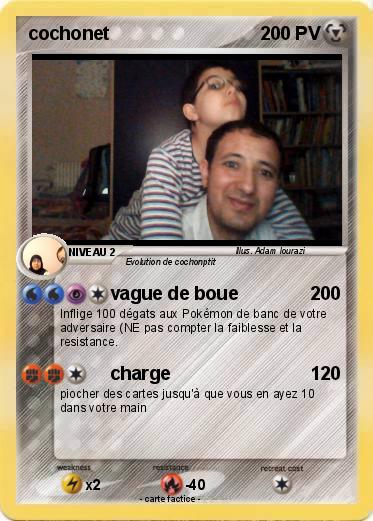Pokemon cochonet
