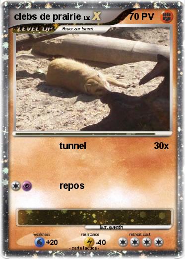Pokemon clebs de prairie