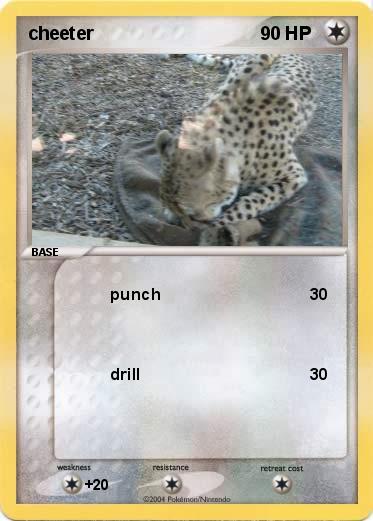 Pokemon cheeter