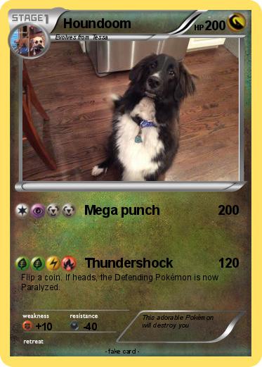 Pokemon Houndoom