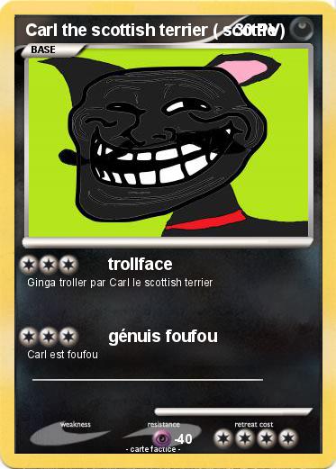 Pokemon Carl the scottish terrier ( scottie )