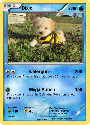 Pokemon Dixie