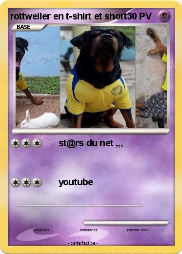 Pokemon rottweiler en t-shirt et short
