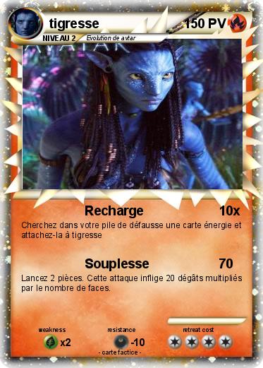 Pokemon tigresse