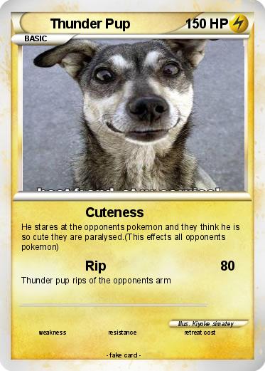 Pokemon Thunder Pup