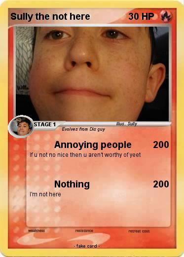 Pokemon Sully the not here