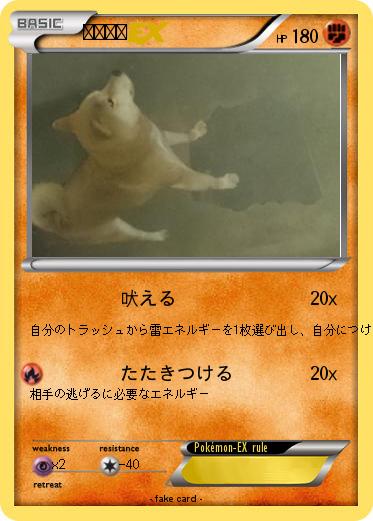 Pokemon チャチャ