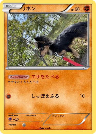 Pokemon リボン