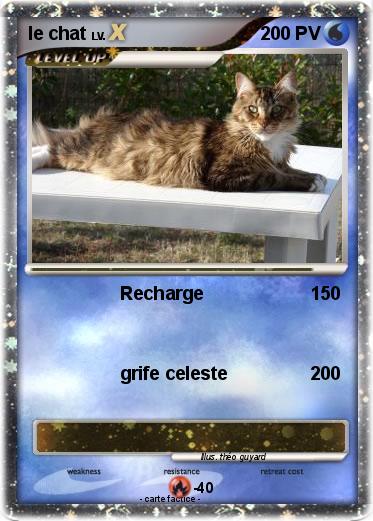 Pokemon le chat