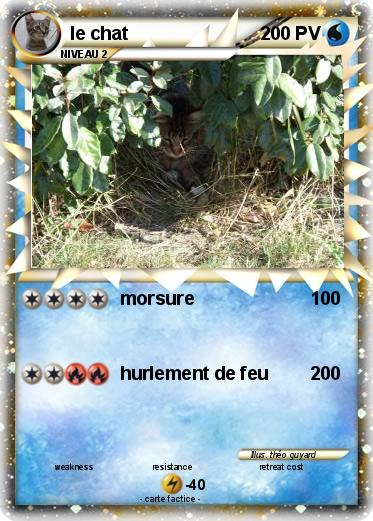 Pokemon le chat