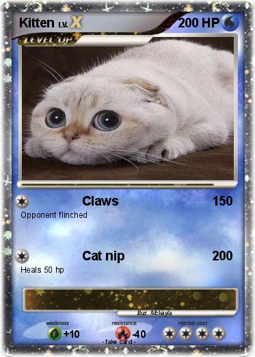 Pokemon Kitten