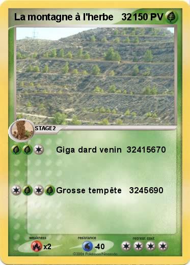 Pokemon La montagne à l'herbe   32