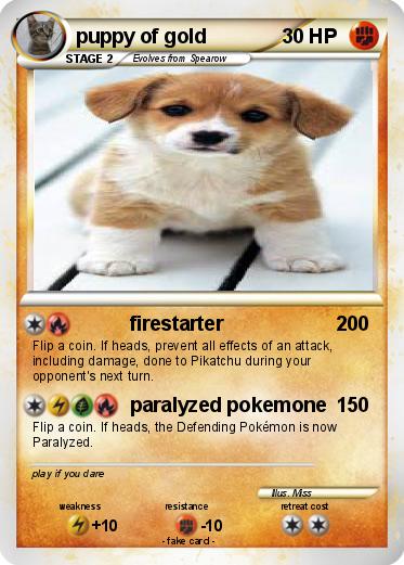 Pokemon puppy of gold