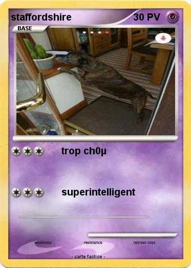 Pokemon staffordshire