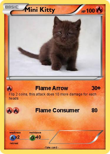 Pokemon Mini Kitty