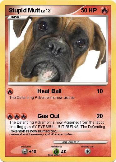 Pokemon Stupid Mutt