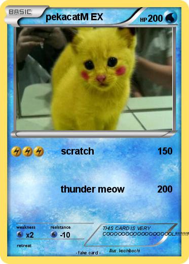 Pokemon pekacatM EX