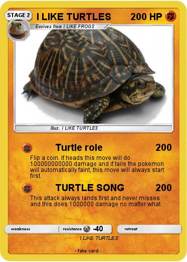 Pokemon I LIKE TURTLES