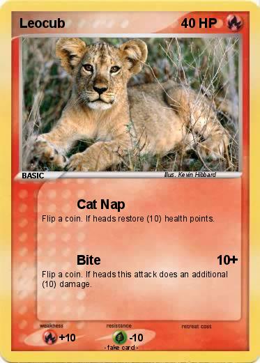 Pokemon Leocub