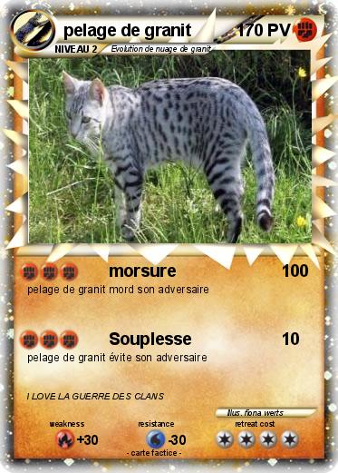 Pokemon pelage de granit