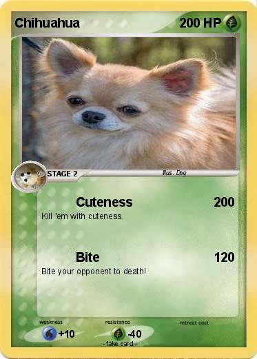 Pokemon Chihuahua
