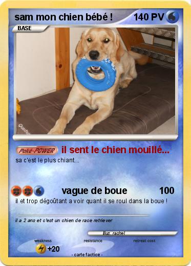 Pokemon sam mon chien bébé !