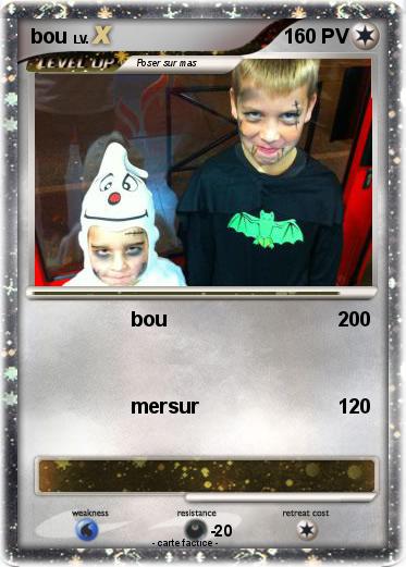 Pokemon bou