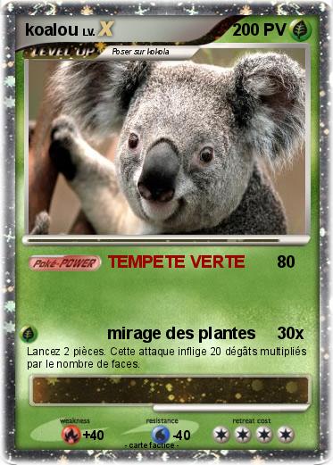 Pokemon koalou