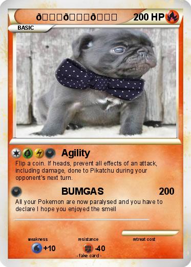 Pokemon ????????????