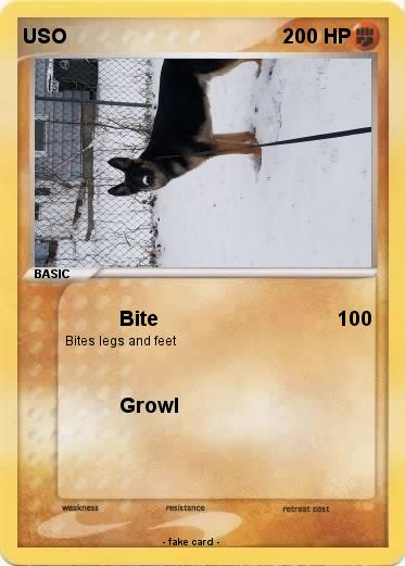 Pokemon USO