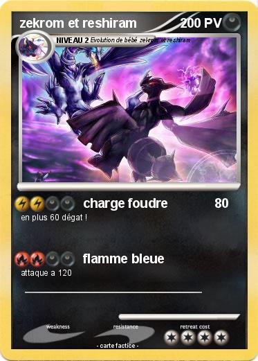 Pokemon zekrom et reshiram
