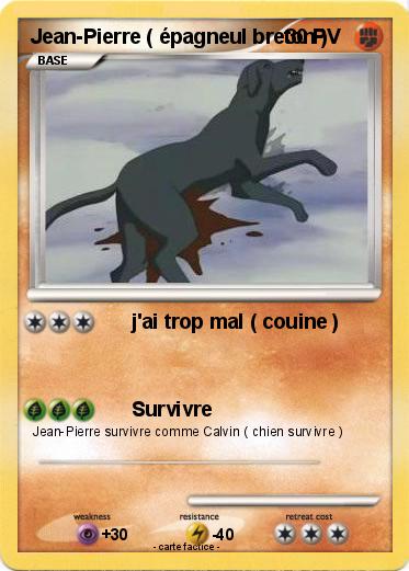Pokemon Jean-Pierre ( épagneul breton )