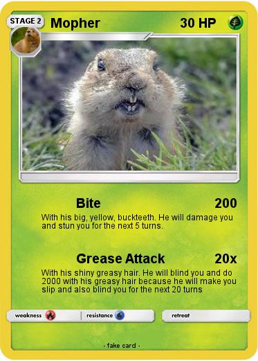 Pokemon Mopher