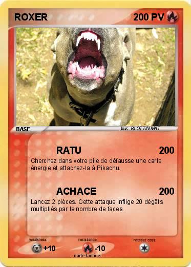 Pokemon ROXER