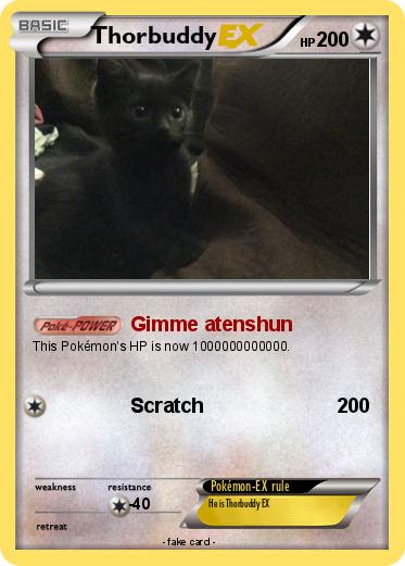 Pokemon Thorbuddy